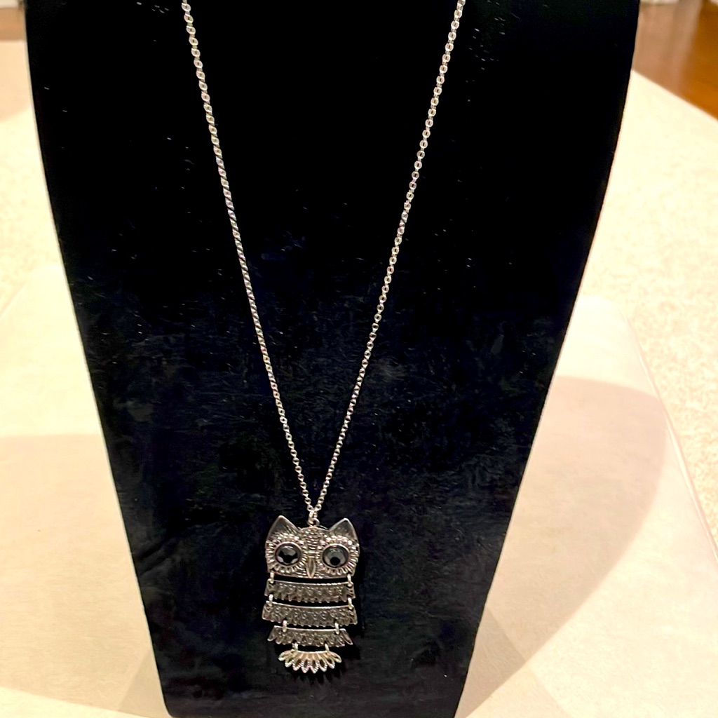 Dress Barn Large Owl Pendant Silver And Black Necklace Nwot
